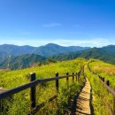 평원4길 1 이미지