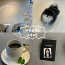 바우하우스 스튜디오 | 원주 사진관 추천｜증명사진·여권사진 잘 찍는 바우하우스 스튜디오