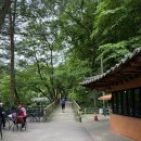 지정2터널-원주 | 강원도 원주갈만한곳 치악산 구룡사 세렴폭포 난이도최하 등산정보 및 다녀온 후기