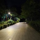 낙성대 공원 | 낙성대공원 러닝 5KM 후기