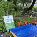 롯데마트 동두천점(한강아쿠아) | 서울 근교 동두천 글램핑 코알라 캠핑장 아이들과 몸만 떠나는 여행