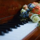 딩동댕 피아노 이미지