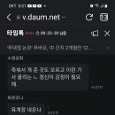 한미핵협의그룹은?가짜이다 중국산이면 환장하는 대한민국 곰으로맞고 싸드로맞고도 청나라 시대 한국 이미지