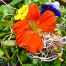 고대1094 이미지