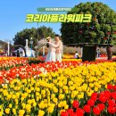 플라워천국 | 태안꽃축제 코리아플라워파크 세계튤립꽃박람회 공원 입장료 방문후기