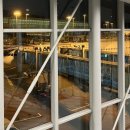 ✈️하와이 6박8일 신혼여행 1일차_빅아일랜드 코나행 주내선, 버짓렌트카, 킹 카메하메하 호텔🍍