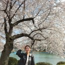 러블리앤코 | 리리앤코 원피스 러블리 봄데이트룩 입고 벚꽃구경