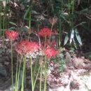 김종길 농장 이미지