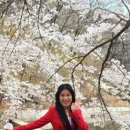 소리마당 이미지