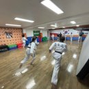 경희대 석사 비룡 태권도장 이미지