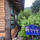금향다원 Daum카페