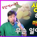 생강의 효능(한의사, 김순렬 이미지