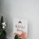 살롱드보니타 네이버블로그