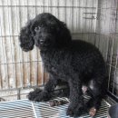 연제구-111 이미지