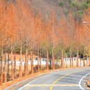 양촌자연휴양림 이미지