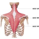 하트핏 휘트니스 이미지
