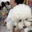 얏호