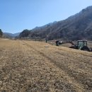 통골농장 이미지