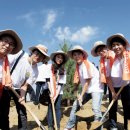 친환경태양목장 이미지