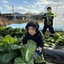 뽑자뽑자 이미지