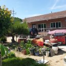 울진공인행정사 이미지