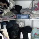 매머드익스프레스파주운정호수점 이미지