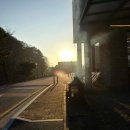 현충원로(유성-21) 이미지