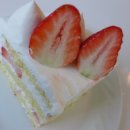 주식회사 피오니 이미지