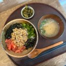 용산-425 | [서울 용산] 용문동 &#34;낫투두 낫토앤바 (Nottodo Natto &amp; Bar)&#34;(25년 여름시즌 06-09월 계절메뉴, 재방문...