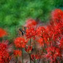 번영농장 이미지