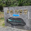 푸라닭제주표선점 | 제주도 무료 캠핑장 표선해수욕장 야영장 이용방법(주차, 편의시설) 및 이용 팁