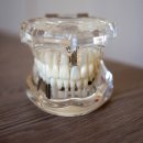 아홉가지약속당진치과의원 이미지