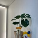 삼성영어수학전문학원 이미지