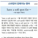 have a soft spot for ~(~에 마음이 약하다) 이미지