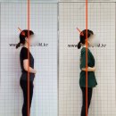 (주)펄스 네이버블로그
