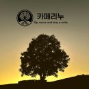 구지로112번길 | 김해 대성동 카페리누 후기, 왕따나무