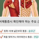 바로고침 이미지