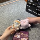 삼정게임랜드 이미지