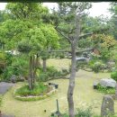 거문민박 이미지