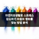 닥터윤성형외과의원 | 자연치유생활로 스트레스 감소하기 마음의 평화를 찾는 방법 분석