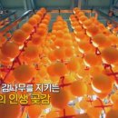 진상농원 네이버블로그