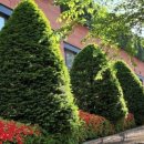 친절한해든약국 이미지