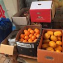 안성만물 이미지