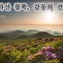 꽃길만걷자 이미지