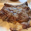 라그로타 이미지