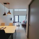 플레이독애견풀빌라 이미지