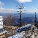 복정역1번출구(앞) 이미지