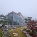 동하펜션