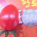 양용승 이미지