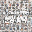 쇼독(Show dog) | *분양완료* [안산 강아지분양] 블랙 포메라니안(♀) 분양